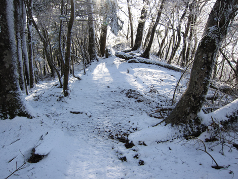 20191129hike (428)
